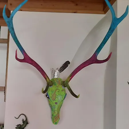 Holiday home Haasenhaus